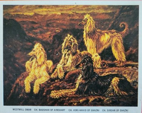 And While We’re Still on the Subject …